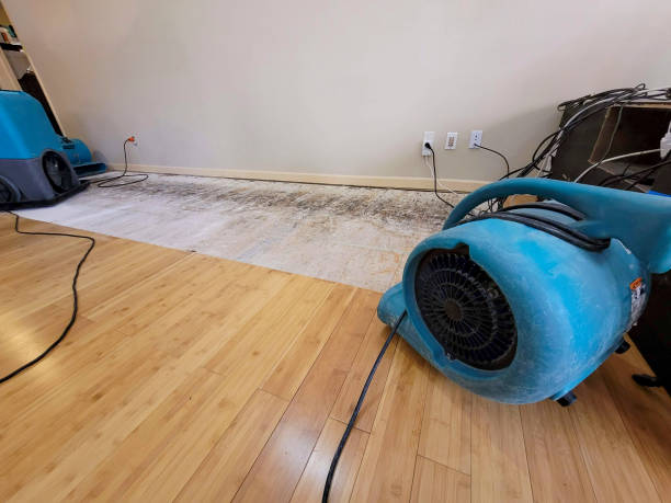 Reliable Basement Flood Cleanup contractor in Hamden, OH by Hirex Water Damage
