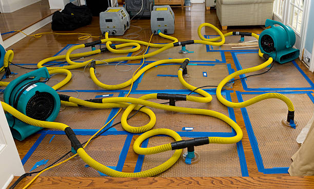 Professional Basement Flood Cleanup technician working in Hamden, OH